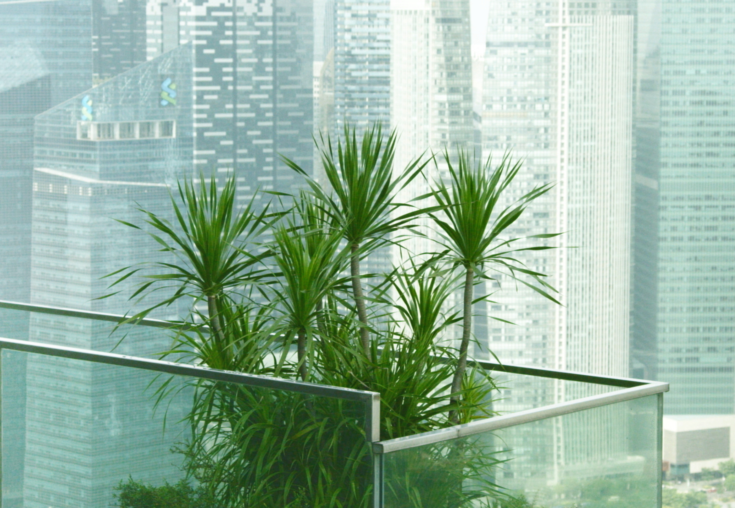 Ill-Studio - MORCEAUX CHOISIS